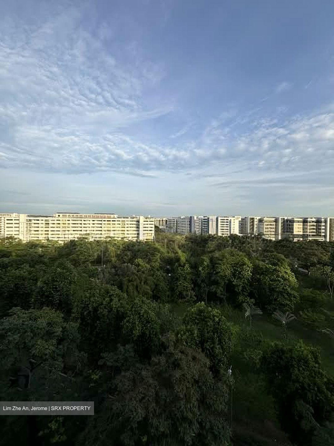 Treasure at Tampines (D18), Condominium #581979511